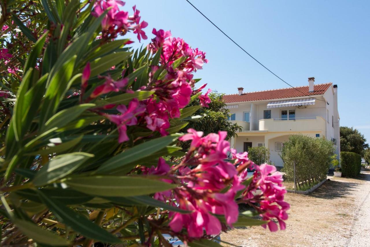 Apartments Maco ペトルチャネ エクステリア 写真